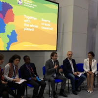 XIX Всемирный фестиваль молодежи и студентов. г.Сочи,2017г.